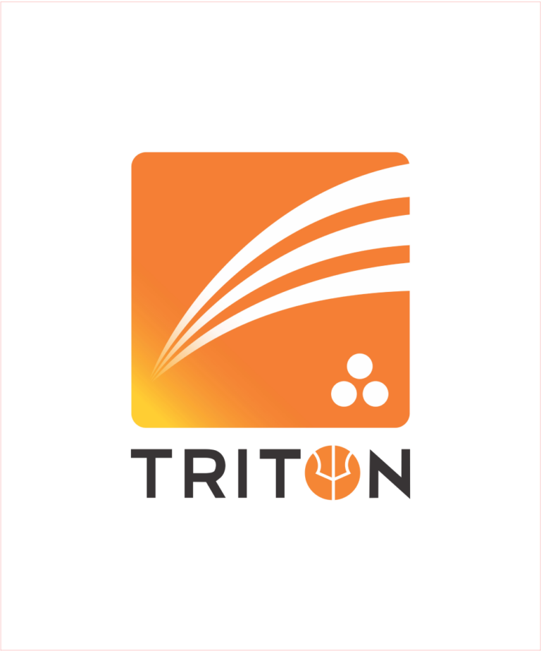 TRITON INTERNATIONAL PVT LTD